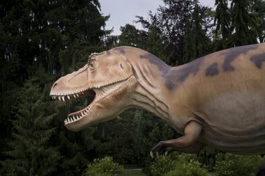 dinozor yakın çekim