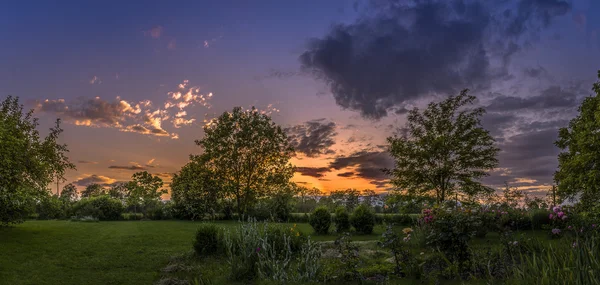 Abend im Garten — Stockfoto