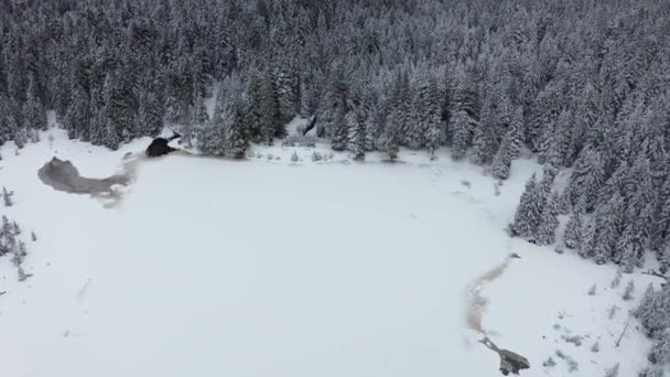 Lac gelé en hiver, bois couvert de neige fraîche, vue aérienne — Video