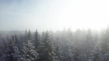 Hava manzarası, bulutlu bir kış gününde gizemli dağ manzarası, sisli bir orman.