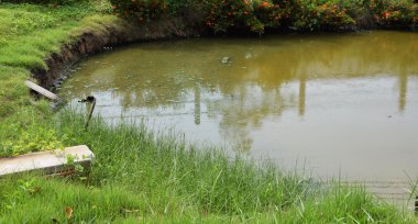 Kirli kanalizasyon Kanal.