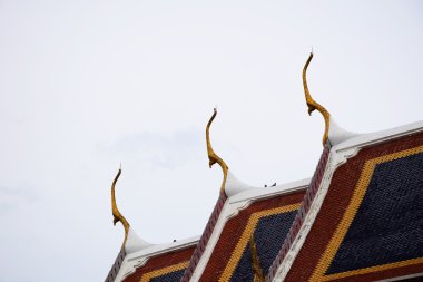 Wat Phra Kaew, güzel tapınak Bangkok Tayland.