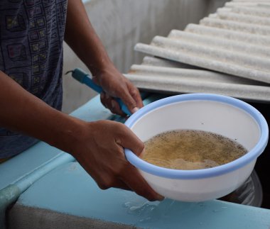 Plastik kase larva karides. Su ürünleri yetiştiriciliği hayvanlar.