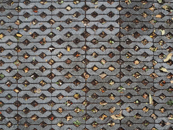잔디 벽돌 블록 질감의 패턴. — 스톡 사진