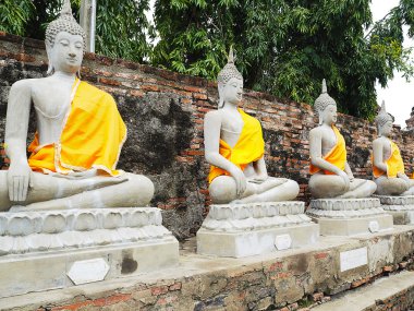 Buda heykelleri Ayutthaya, Tayland. Eski tapınak dini yerler.