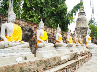 Buda heykelleri Ayutthaya, Tayland. Eski tapınak dini yerler.