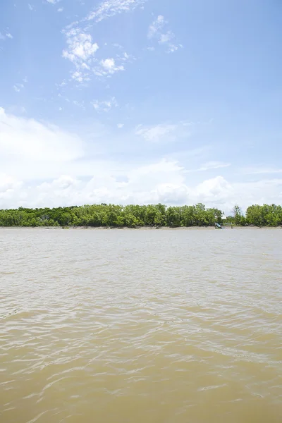 Fiume e foresta in Thailandia . — Foto Stock