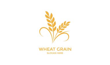 Altın Buğday Logosu Tarım Markası Tasarımı Kimlik ve Endüstri Sembolü