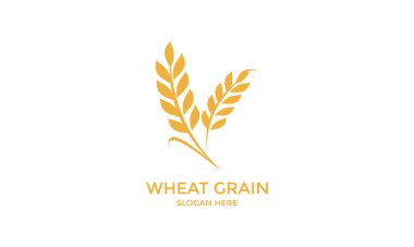 Altın Buğday Logosu Tarım Markası Tasarımı Kimlik ve Endüstri Sembolü