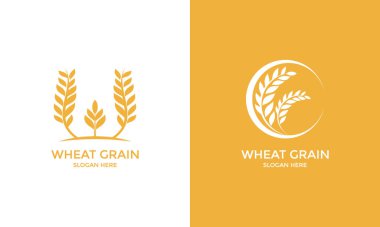 Altın Buğday Logosu Tarım Markası Tasarımı Kimlik ve Endüstri Sembolü