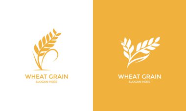 Altın Buğday Logosu Tarım Markası Tasarımı Kimlik ve Endüstri Sembolü