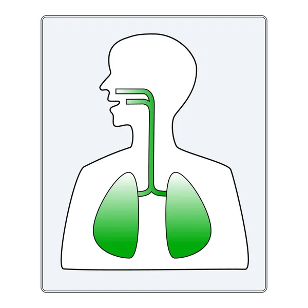 Vector illustration of a silhouette of a person with a picture of lungs — Stock Vector