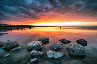 Baltık beach günbatımı Peterhof yakınındaki