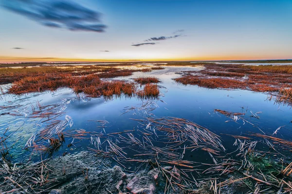 Gece Baltık boggy toprakları — Stok fotoğraf