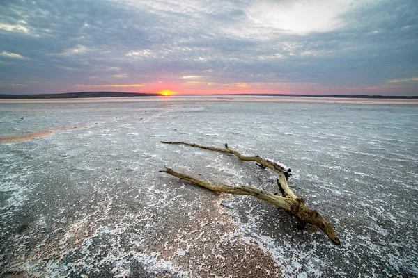 Sel lac sec coucher de soleil — Photo