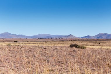 Cradock dağ manzarası 