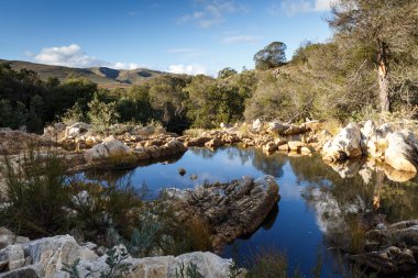 Nehir ve dağ - Haarlem