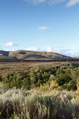Dağ - Haarlem Manzara