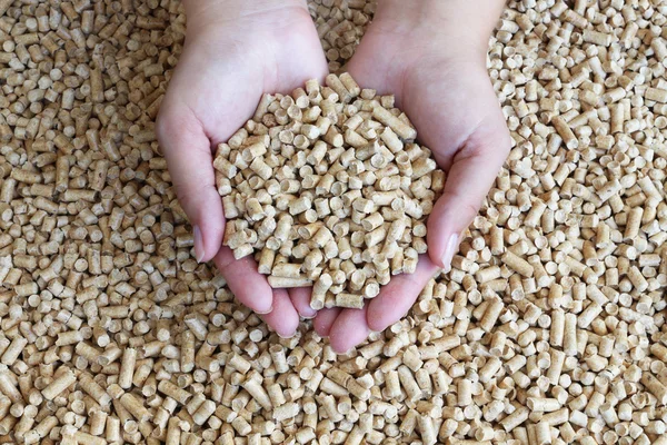 Biyoyakıt. Alternatif biyoyakıt talaş gelen ahşap el granül