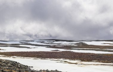 Kuzey Burnu, Kuzey Norveç 'te pelerin. Finnmark County, Norveç. Yüksek kalite fotoğraf