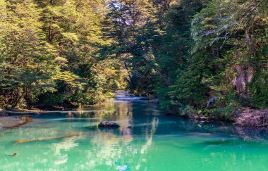Frias Gölü 'nü Puerto Alegre' den Puerto Frias 'a, Rio Negro Eyaleti, Patagonya, Arjantin. Yüksek kalite fotoğraf