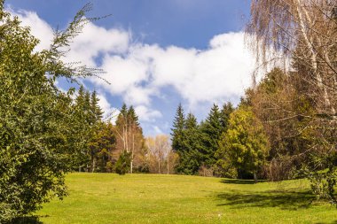 Villa Traful, Neuquen, Andean Patagonya, Arjantin. Yüksek kalite fotoğraf