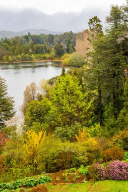 Manzara, Moreno Gölü, Patagonya, Arjantin, Bellevue Bahçeleri. Yüksek kalite fotoğraf