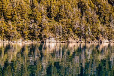 Yelkenli Nahuel Huapi Gölü, Puerto Blest, Puerto Panuelo, Bariloche, Rio Negro Eyaleti, Arjantin. Yüksek kalite fotoğraf