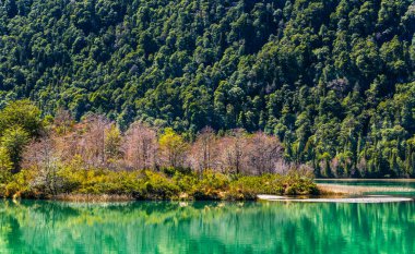 Frias Gölü 'nü Puerto Alegre' den Puerto Frias 'a, Rio Negro Eyaleti, Patagonya, Arjantin. Yüksek kalite fotoğraf