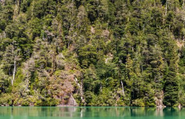 Frias Gölü 'nü Puerto Alegre' den Puerto Frias 'a, Rio Negro Eyaleti, Patagonya, Arjantin. Yüksek kalite fotoğraf