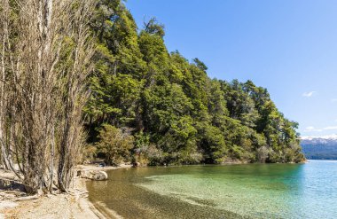 Arjantin 'in Rio Negro Eyaleti, Bariloche kentine çok yakın Nahuel Huapi Gölü kıyılarında. Yüksek kalite fotoğraf