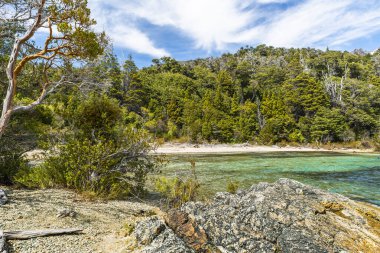 Bahia de los Troncos, Circuito Chico, Bariloche, Rio Negro Eyaleti, Arjantin, Patagonya. Yüksek kalite fotoğraf
