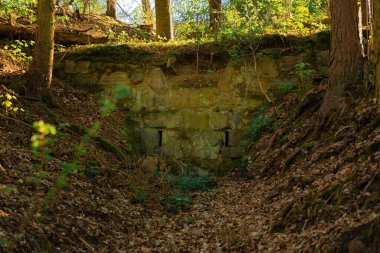 Dar dikdörtgen açıklıklı eski yosun kaplı taş duvar, Nova Zivohost yakınlarındaki Çek ormanında yer alan yoğun ağaçlar ve orman zeminiyle kısmen gömülü ve çevrili..
