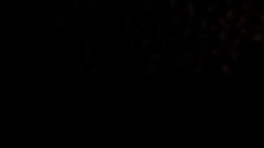 Kahve çekirdekleri havada yüzüyor.