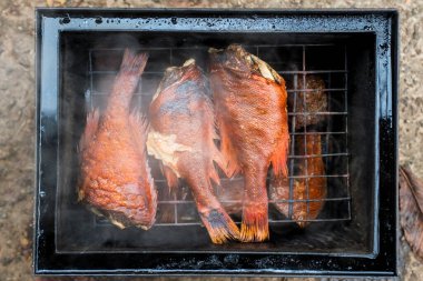 Tütsülenmiş balık. Sıcak tütsülenmiş levrek balığı mini bir tütsühanede kendi ellerinle pişirilir..