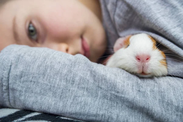 Ragazzo Con Mano Una Cavia Bambino Abbraccia Una Cavia Concetto — Foto Stock