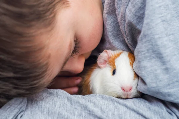 Ragazzo Con Cavia Ragazzo Abbraccia Una Cavia Bambino Gioca Con — Foto Stock