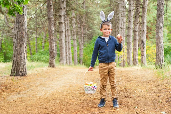 Seorang Anak Mencari Telur Paskah Hutan Anak Kecil Berburu Telur — Stok Foto