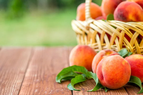 Fresh juicy peaches with leaves in a wicker basket on wooden table. Freshlypicked peaches in a wicker basket on natural background.