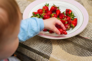 Küçük bir çocuk kırmızı renkli çilek yiyor..