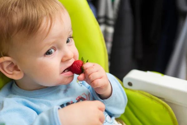 Bambino Piccolo Sta Mangiando Bacca Colore Rosso Fragola Ragazzo Divertente — Foto Stock