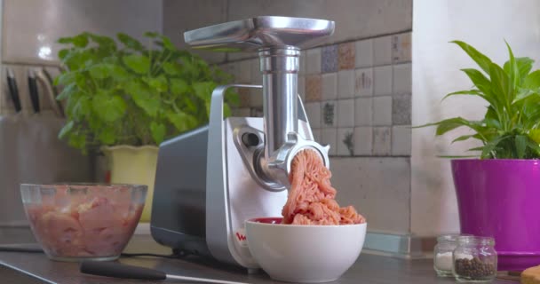 Elektromos Húsdaráló Friss Húsból Darált Hús Készítése Elektromos Húsdarálóban — Stock videók