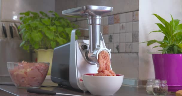 Elektromos Húsdaráló Friss Húsból Darált Hús Készítése Elektromos Húsdarálóban — Stock videók