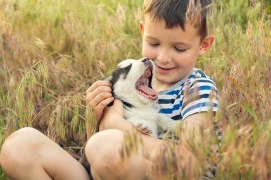 Şirin bir çocuk çayırda çimenlerde oturan iri yarı bir köpekle oynuyor. Yavru bir çocuğun ellerinde..