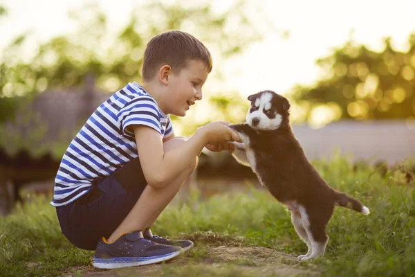 Ragazzo Carino Gioca Con Cucciolo Husky All Aperto Bambino Tiene — Foto Stock