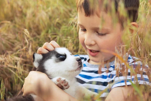 Menino Bonito Brinca Com Cachorro Husky Sentado Grama Prado Cachorrinho — Fotografia de Stock