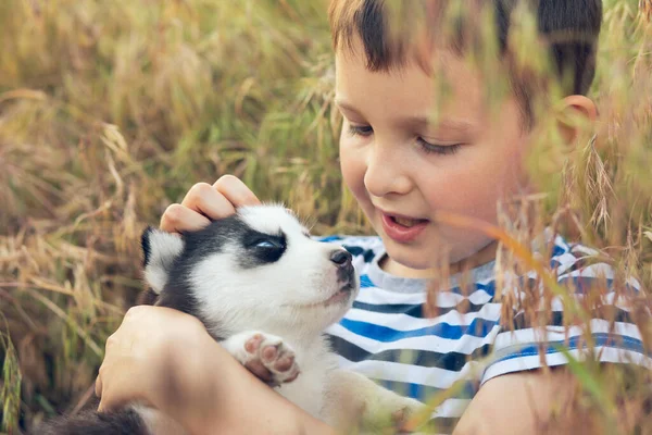 Roztomilý Chlapec Hraje Husky Štěně Sedí Trávě Louce Štěně Rukou — Stock fotografie