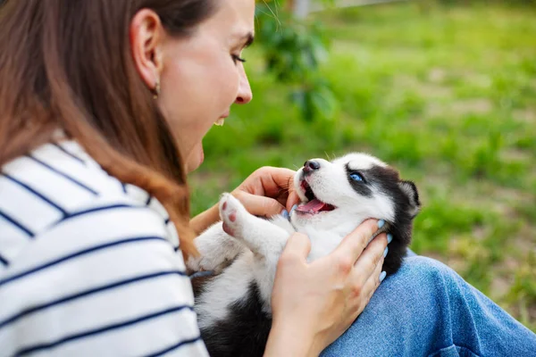 티셔츠를 공원에 허스키 강아지와 즐겁게 아름다운 — 스톡 사진