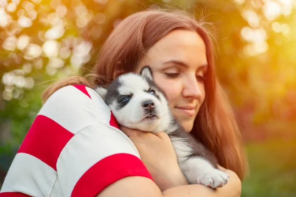 Hermosa Mujer Una Camiseta Rayas Tiernamente Abraza Pequeño Cachorro Husky —  Fotos de Stock