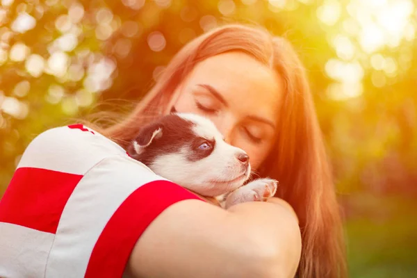 티셔츠를 아름다운 허스키 강아지를 부드럽게 껴안고 있습니다 — 스톡 사진